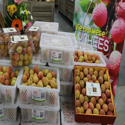 Nông sản Việt xuất khẩu sang Australia tăng trưởng mạnh